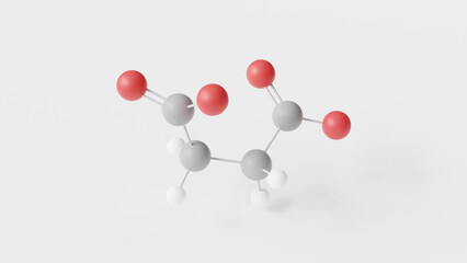succinate molecule 3d, molecular structure, ball and stick model, structural chemical formula dicarboxylic acid dianion