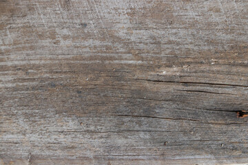 Fototapeta premium Old wooden texture for background that has natural cracks.