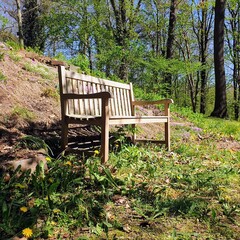Wooden bench in a forest placed at a slope in springtime