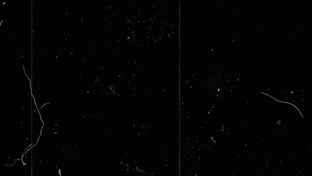 Old Film Grain Overlay