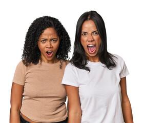 Young Latin friends in studio shouting very angry, rage concept, frustrated.