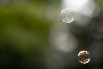 water bubbles, soap, floating