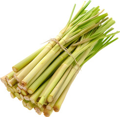 Fototapeta premium lemon grass isolated on transparent background, lemongrass png no background, vegetable ingredient food png