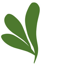 Aesthetic Leaf Vector Hand Drawn