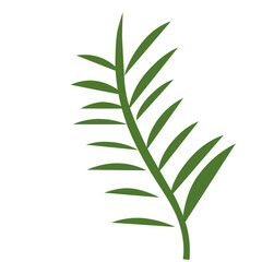 Aesthetic Leaf Vector Hand Drawn