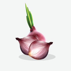 onion food isolated on white