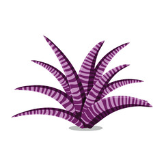 butterfly vector on a white