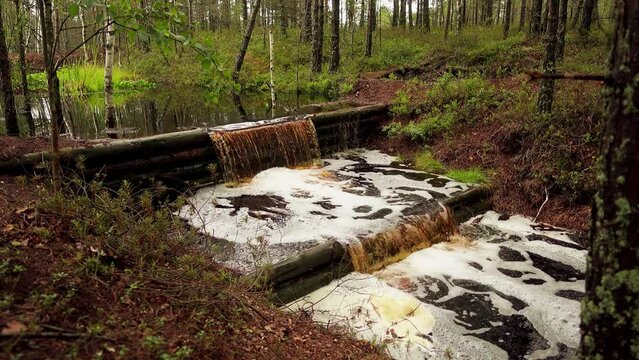 Swamp Viru Raba in Estonia