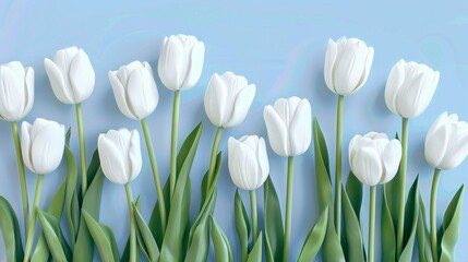 Fototapeta premium white tulip flowers generative ai