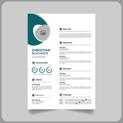 professional CV/Resume template 2024