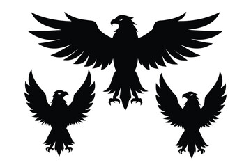Obraz premium Beautiful bird Eagle ,will be different angle and style vector silhouette