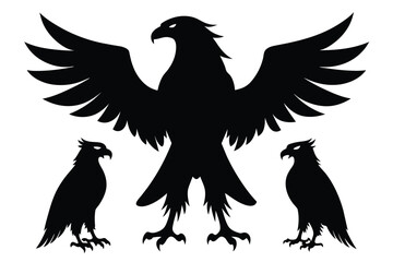 Beautiful bird Eagle ,will be different angle and style vector silhouette