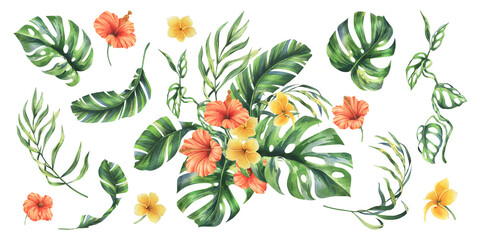 Tropical palm leaves, monstera and flowers of plumeria, hibiscus, bright juicy. Hand drawn watercolor botanical illustration. Set of elements isolated from background