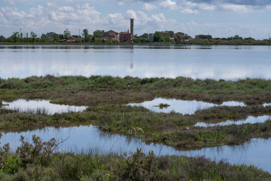 Venetian lagoon near Lio Piccolo