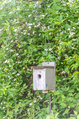 bird house