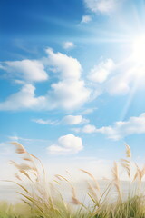 Obraz premium sunny sky in summer