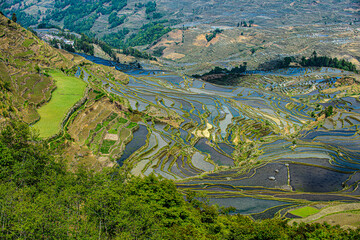 Duoyishu Terraced Fields, China