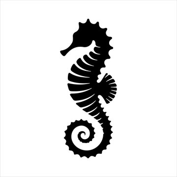 recommend clip art: Seahorse silhouette isolated on white background. Seahorse icon vector illustration design.