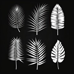 Obraz premium Beautiful palm tree leaf set silhouette background vector illustration