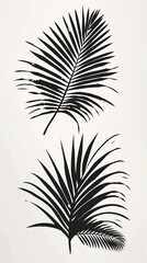 Beautiful palm tree leaf set silhouette background vector illustration