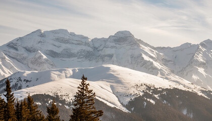 snow covered mountains