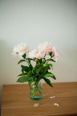 Bouquet of pink peonies in glass vase on wooden chest of drawers on white background. Spring flowers.