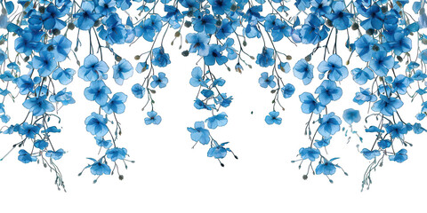 PNG Blue flowers outdoor pattern nature
