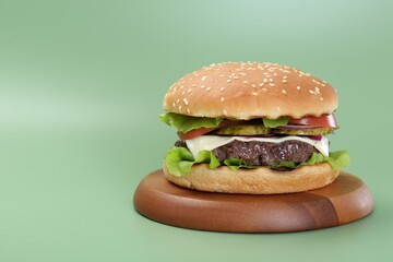Burger with delicious patty on green background. Space for text