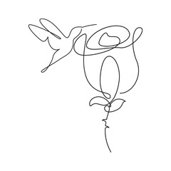 Hummingbird one line. Vector drawing.
