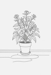 One continuous line drawing of a potted flower on the floor, suitable for coloring pages