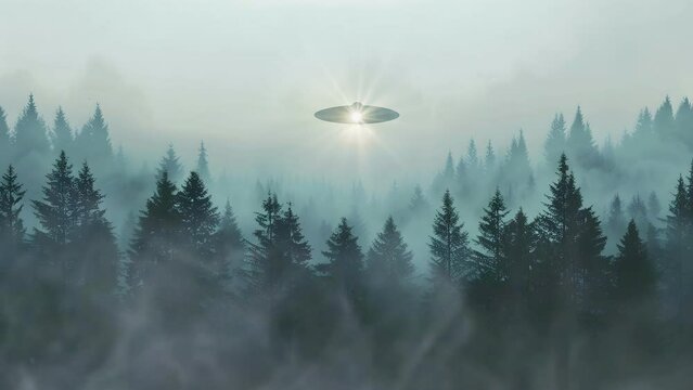 fog in the pine forest with alien ship. Mysterious spaceship. Infinite loop animation