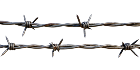 One barbed wires round highly detailed isolated on transparent background PNG file