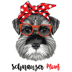 Schnauzer dog with red bow, Schnauzer Mom  shirt, gift Schnauzer, gifts for women, men, Funny Schnauzer Dog Shirt, cricut, Gift For Girls,