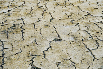 Soil fractured dry grass field.
