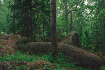 Taiga forest and rocks of the Stolby nature reserve park