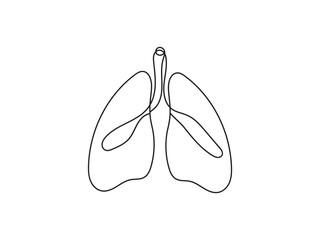 Hand drawing of human organ lungs outline vector illustration