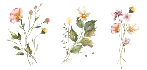 Watercolor Midsummer floral Bouquets collection with hand painted delicate leaves, wildflowers. Romantic floral arrangements perfect for wedding invitation. High quality PNG illustration.