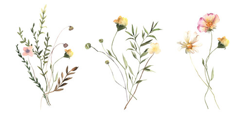 Watercolor Midsummer floral Bouquets collection with hand painted delicate leaves, wildflowers. Romantic floral arrangements perfect for wedding invitation. High quality PNG illustration.