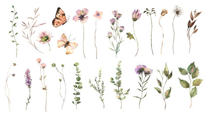 Watercolor Midsummer flowers collection with hand painted delicate leaves, flowers. Romantic floral arrangements perfect for wedding greeting cards, invitation. High quality PNG illustration.