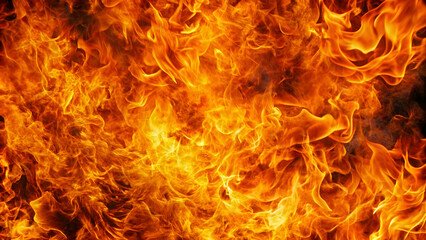 Fire texture background