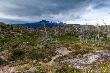 Impressive mountain view on a hike from Paine Grande to Refugio Grey, along lake grey in Torres Del...
