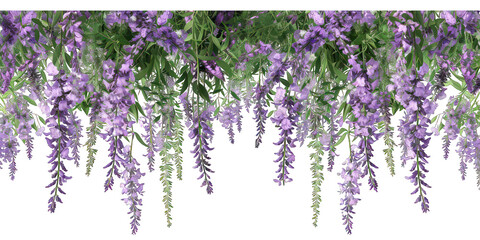 PNG Purple lavender flowers outdoor pattern nature