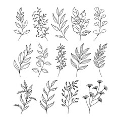 Set of leaves illustration vector