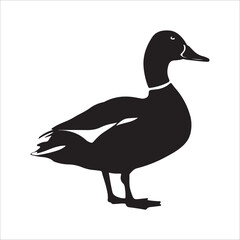Duck, Vector, silhouette