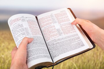 Open bible book in hands at wheat field