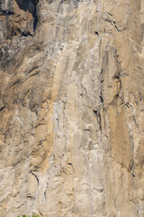 Cliff face of El Capitan. At least two rock climbers can be seen climbing the wall.