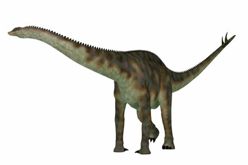 Spinophorosaurus Armored Dinosaur - Spinophorosaurus was a herbivorous sauropod dinosaur that lived in the Jurassic Period of Niger, Africa. © Catmando