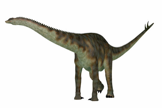 Spinophorosaurus Armored Dinosaur - Spinophorosaurus was a herbivorous sauropod dinosaur that lived in the Jurassic Period of Niger, Africa.