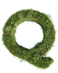 Floral Letter Q in a Beautiful Green Meadow. 3D render.