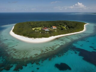 Photo of a tropical island with green trees and palm trees. Sandy ocean shore, for printing on a tourist print, postcard, invitation.